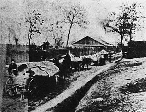 Transportul merelor de la Copanca la Tighina